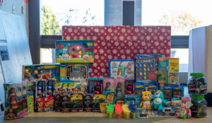One load of donated toys displayed